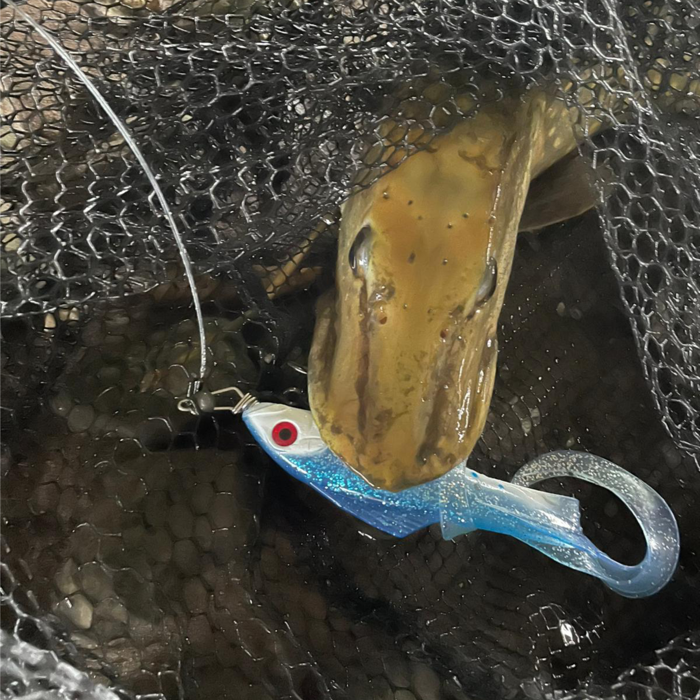 Everbait 3 Tail