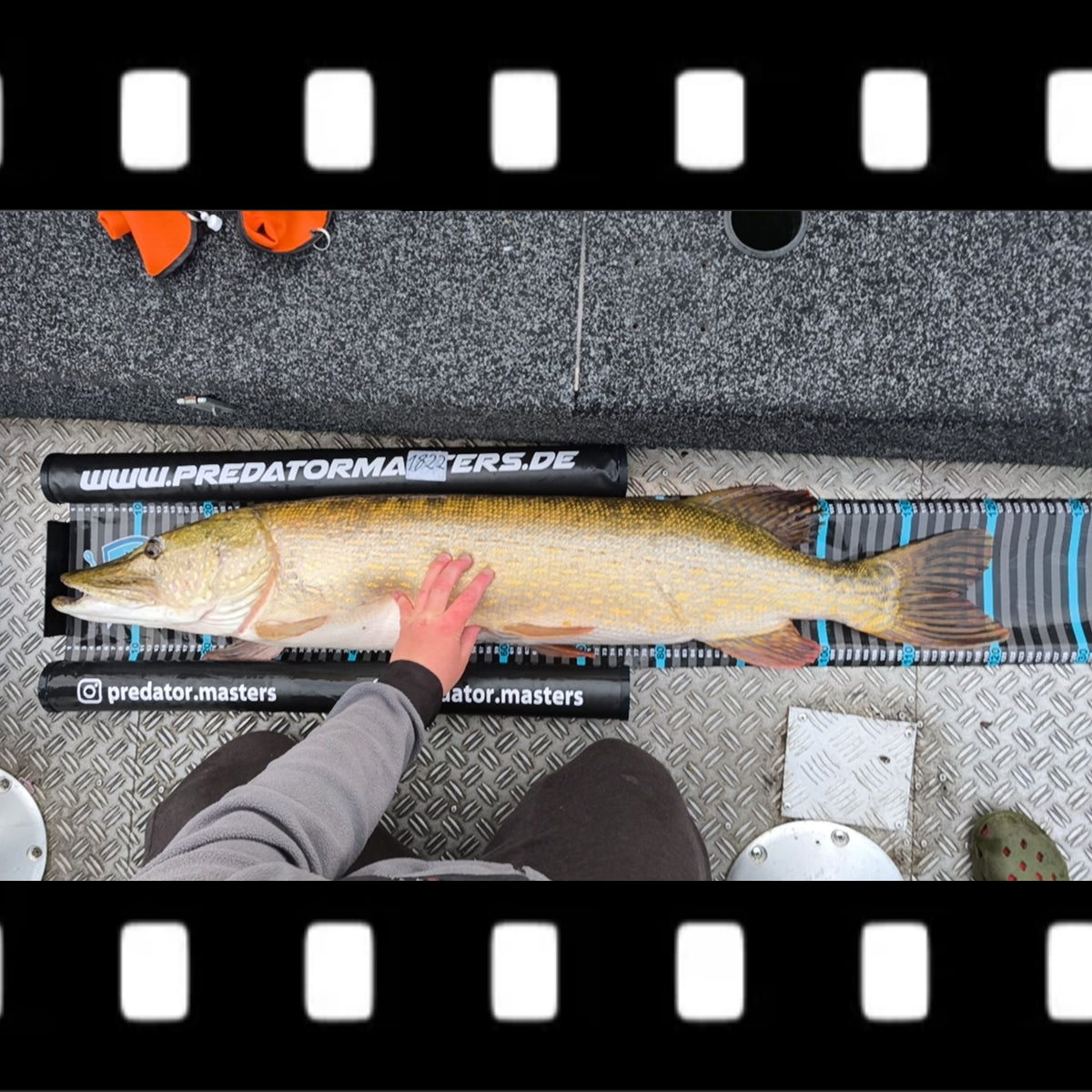 Boat Scale 150cm