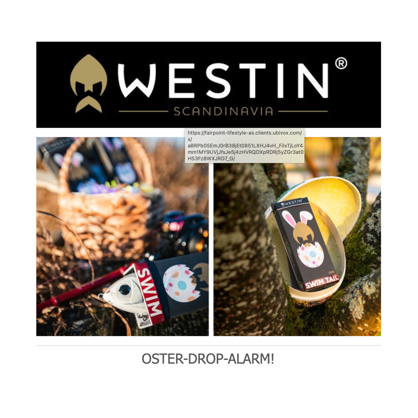 Westin Swim Ostern '26