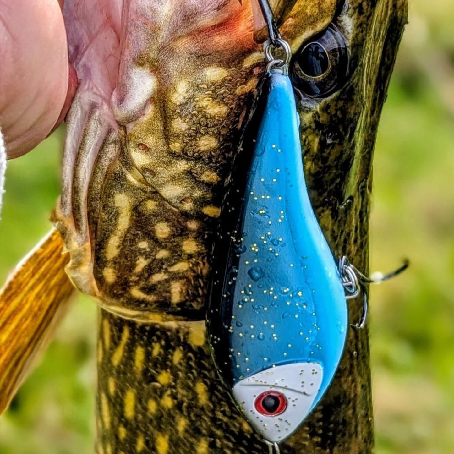Westin Swim Glidebait
